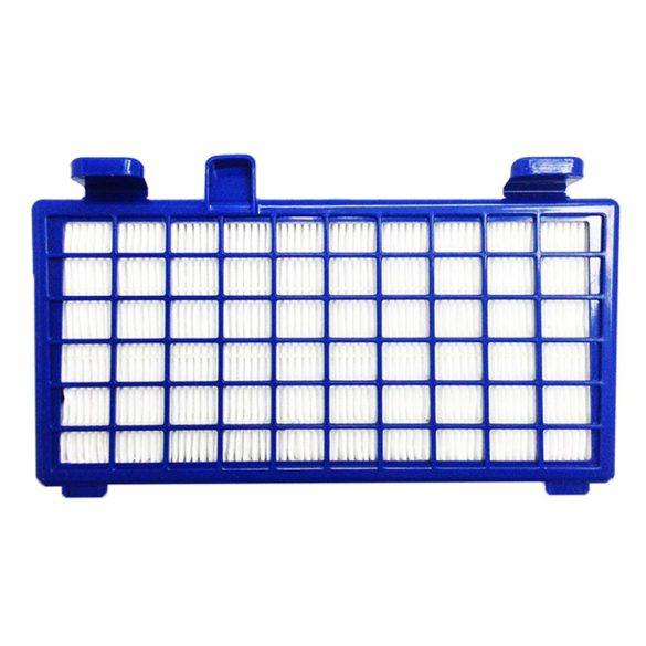 HEPA szűrő ROWENTA X-Trem Power Cyclonic RO 6235 porszívóhoz